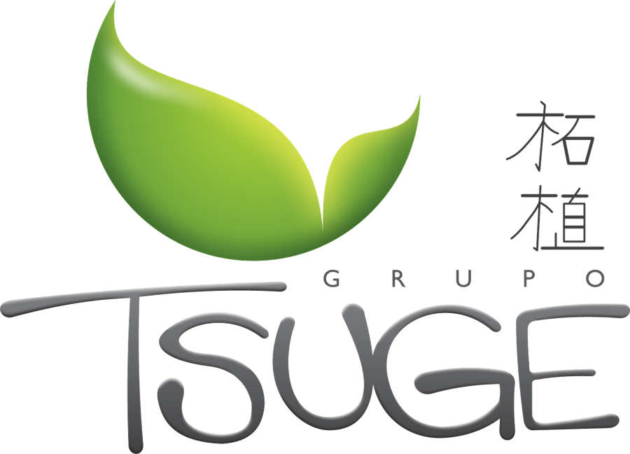 Tsuge